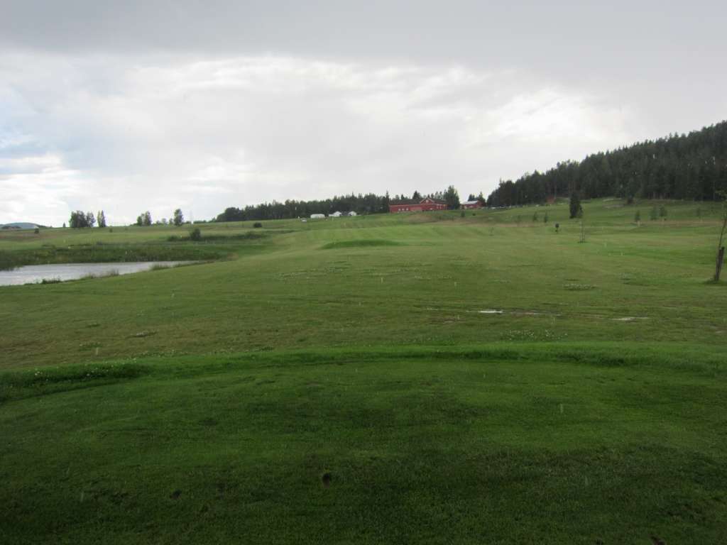 Tee